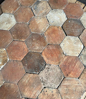 Salon-de-Provence French Reclaimed Terra Cotta Tile Hexagon