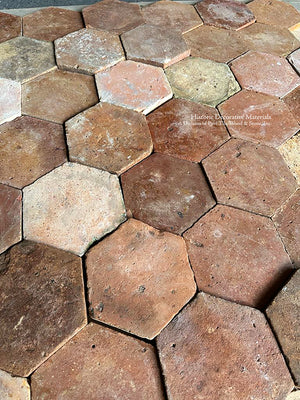 Mont-Saint-Aignan French Reclaimed Terra Cotta Tile Hexagon - PA 208