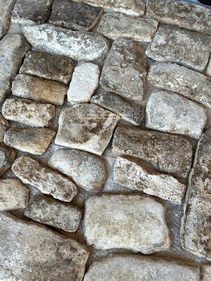 Dappled sunlight reveals the extraordinary patina and rich colors of these antique French limestone cobblestones.
