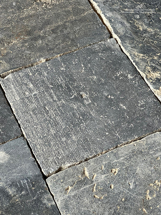 10,000 year old sea shells are a hallmark of antique Belgian bluestone flooring.