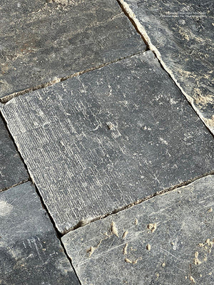 10,000 year old sea shells are a hallmark of antique Belgian bluestone flooring.