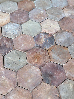 French Salvaged Terra Cotta Pavers for Traditional European Wine Cellar Design