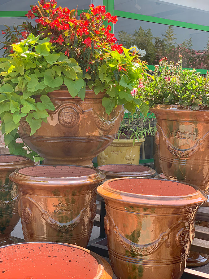 An example of plantings, the wide bowl of the coupe d'Anduze allows creativity in your plantings.
