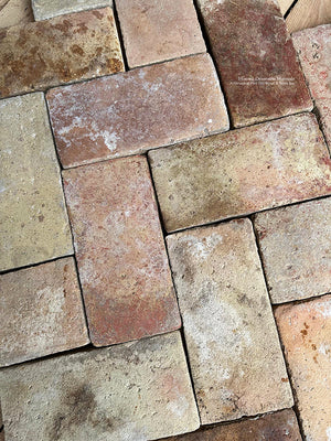 Provençal Antique French Terra Cotta Brick Tiles