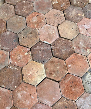 Saint-Macaire French Reclaimed Terra Cotta Tile Hexagon