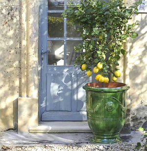 French Anduze planter green glazed terra cotta pot
