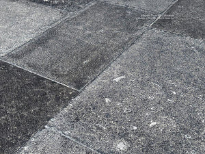 Antiqued Belgian Bluestone Historic Stone Floor Interior