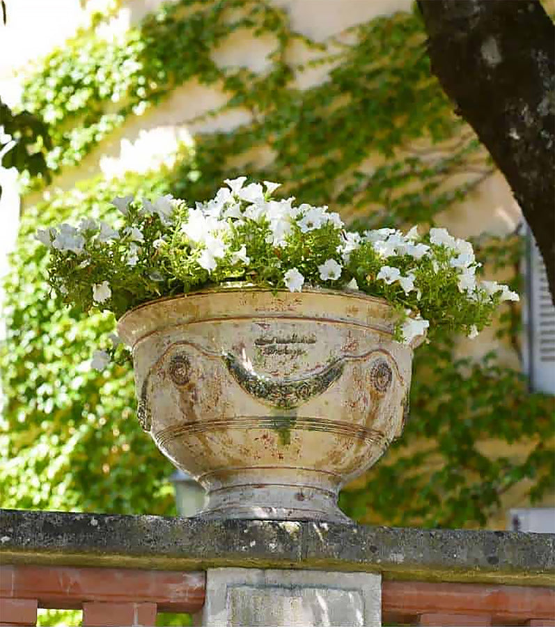 The antique patina coupe d'Anduze from Provence is a perfect vase for white germaniums.