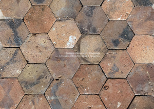 Salvaged Near Orléans, France - Historic Wood Flashed French Reclaimed Hexagon Terra Cotta Tile Lot - PA168
