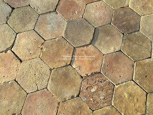 Noyers-Sur-Serein French Reclaimed Terra Cotta Tile Hexagons